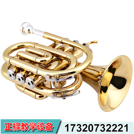 ZL-手掌號，便攜式小號